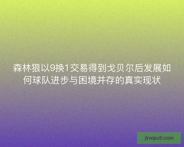 森林狼以9换1交易得到戈贝尔后发展如何球队进步与困境并存的真实现状